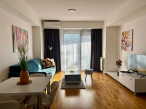 Cozy Apartment near City Center
